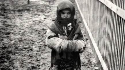 Голод 1933 года в СССР: причины, «чёрные доски» и реальные масштабы жертв